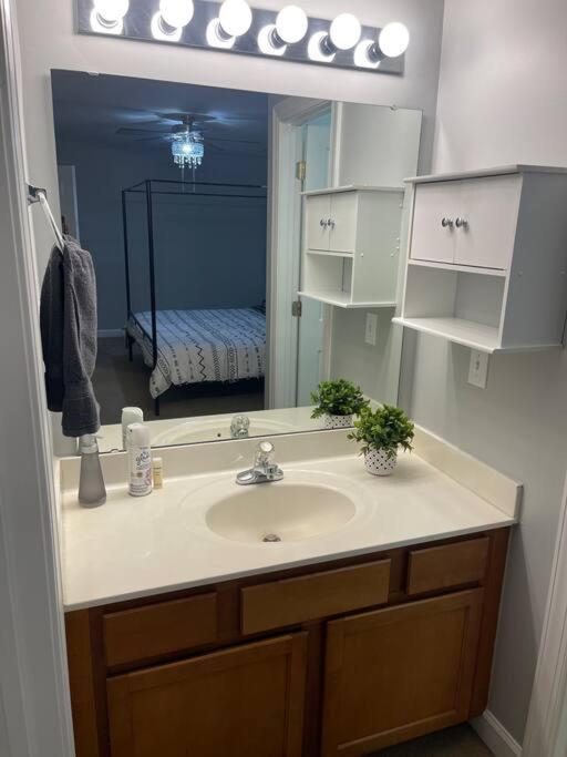 Appartamento Simple Elegant Townhouse Dt Raleigh Ncsu Esterno foto