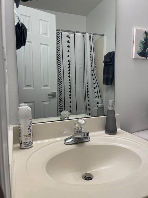 Appartamento Simple Elegant Townhouse Dt Raleigh Ncsu Esterno foto