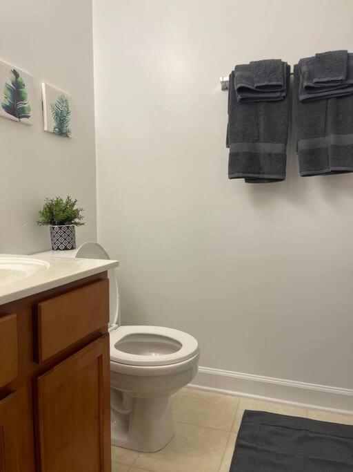 Appartamento Simple Elegant Townhouse Dt Raleigh Ncsu Esterno foto